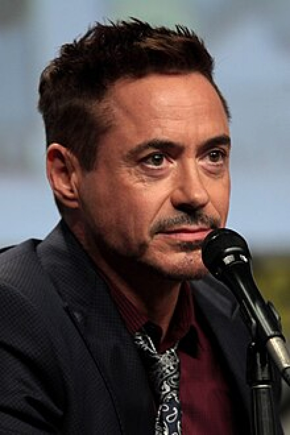 Robert Downey Jr. 