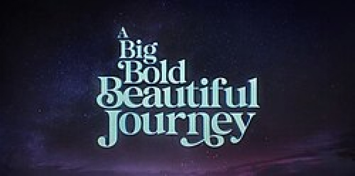 A Big Bold Beautiful Journey poster