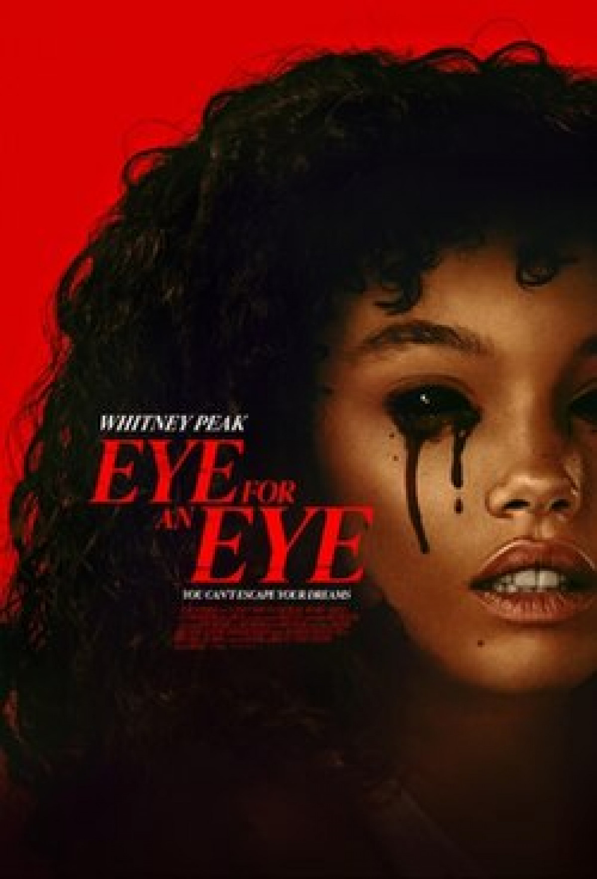 Eye for an Eye poster