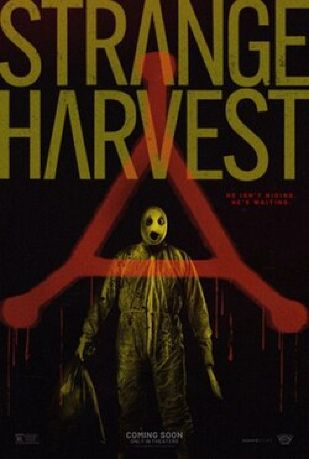 Strange Harvest video poster