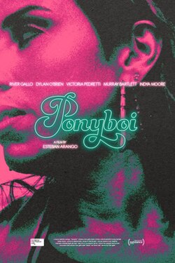 Ponyboi poster film